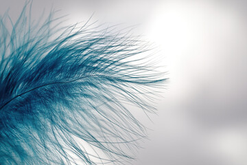 A light fluffy blue feather against the gray sky.