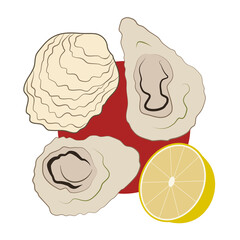 Oysters, lemon and red wine sauce. Hand-drawn vector, flat style. Seafood, healthy food, delicacies. Vegetarianism, a source of protein. Design element for restaurants, cafes, menus, hall decoration.