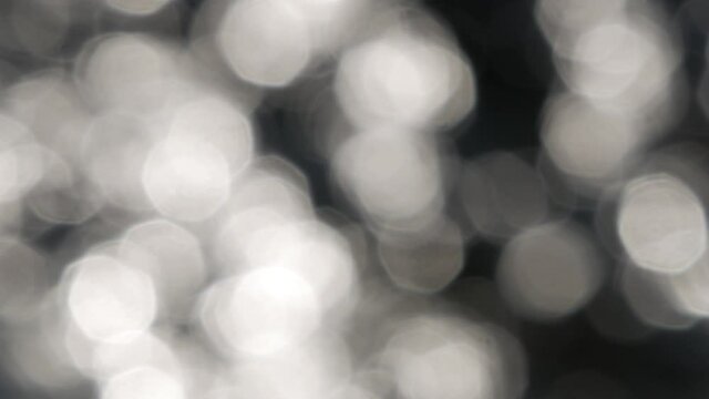 Bokeh de riviere1