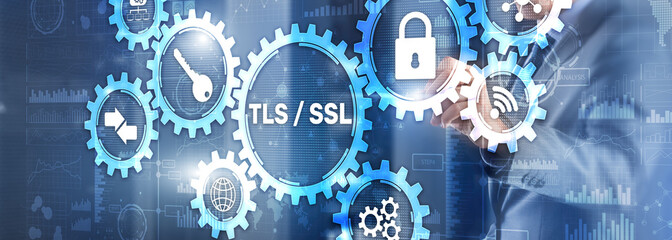 Transport Layer Security. Secure Socket Layer. TLS SSL
