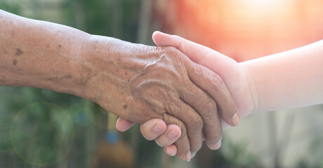 Caregiver, carer hand holding elder hand in hospice care. Philanthropy kindness to disabled concept. - obrazy, fototapety, plakaty