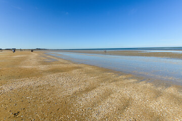plage, sable, coquillages, Houlgate, Calvados, 14, Normandie