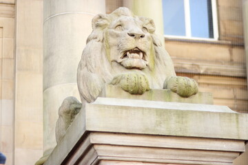 Stone lion statue in front of Bolton town hall