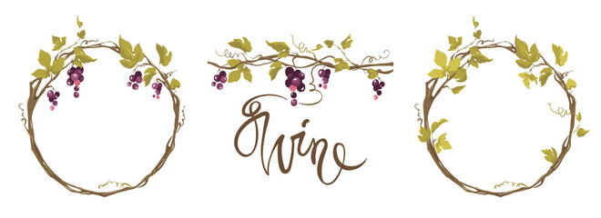 Grapevine - vector illustration. Design elements with a twisting vine with leaves and black berries. Freehand drawing in watercolor style. Frame with vine.  © imagination13