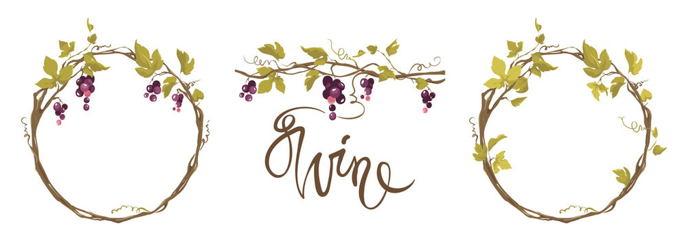 Grapevine - vector illustration. Design elements with a twisting vine with leaves and black berries. Freehand drawing in watercolor style. Frame with vine.	
