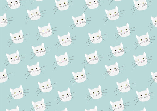 WHITE CAT in 2023  Cute cat wallpaper, Pretty cats, Cute cats