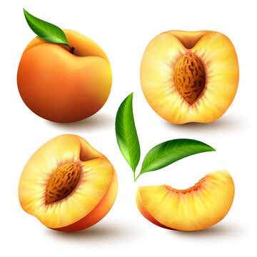 Set of Realistic ripe peaches with green leaves, whole, half and slices. Juicy sweet fruits realistic 3d vector high detail on white background. Ripe peaches, whole and sliced. Vector illustration.