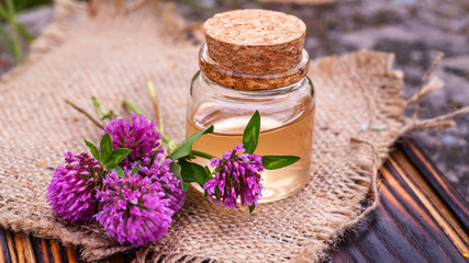 still life with Trifolium pratense, red clover. Collect valuable flowers from moment of flowering, Decoction of clover and infusion in clear bottle with cork. alternative medicine. Soft focus