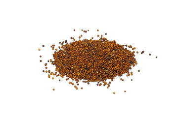 finger millet or ragi isolated 