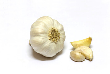 garlic bulb and clove isolated on white background