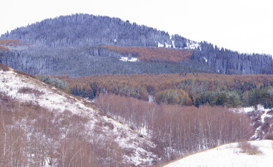 Beautiful winter landscape in the mountains. Mountains with snow and fir trees. A little-visited...