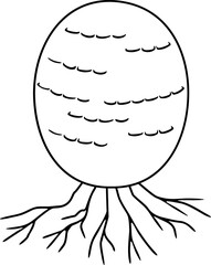 Coloring page with immature egg stage of fruiting body of Fly agaric (Amanita muscaria) mushroom