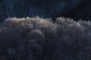ダム湖に差す美しい朝日 | 山形県飯豊町の白川ダム