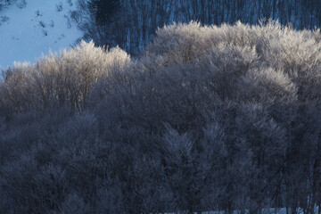 ダム湖に差す美しい朝日 | 山形県飯豊町の白川ダム