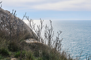 view of the winter sea from a high coastal cliff
