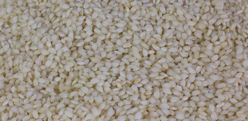 Uncooked arborio rice. Risotto rice on white background. Pile of Arborio short grain white rice isolated on white. Background of major rice varieties Arborio.