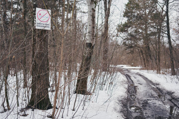 Winter forest. Kiev, Hydropark.