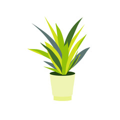 Flower Pot sansevieria in pot icon art design element stock vector illustration for web, for print, for flower shop, for packaging design 