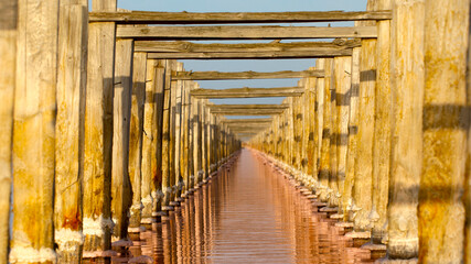 Wooden poles are damaged by the salt water of the pink lake.