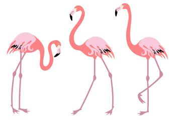 Set of pink flamingo. Flock of birds. Simple flat style.