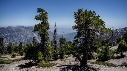 Views from the stunning register ridge trail