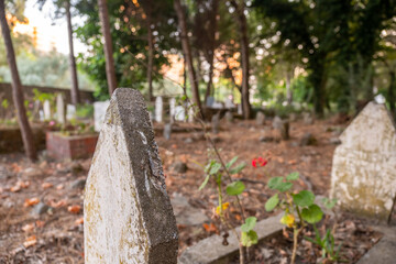 Old Islamic graveyard focusing on the tombstones