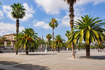 Fototapeta na wymiar Barcelona sea promenade with palm trees, Spain