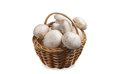 Basket with mushrooms. Champignons in a basket isolated on a white background.