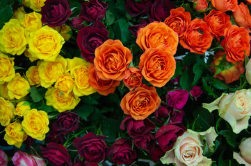 background close-up of a bouquet of colorful blooming roses with green leaves
