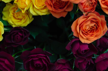 background of orange yellow red roses with place for text in the middle