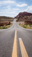 A street in the valley of fire state park, USA