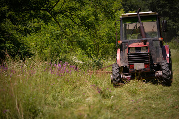 Fototapeta premium an old red tractor mowing the grass near the forest. use of agricultural machinery on the farm