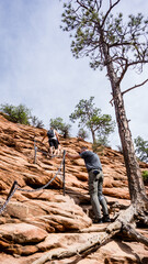 People climbing up ropes in Zion National Park, Utah, USA