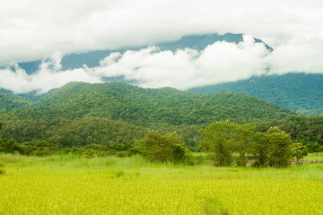 Misty view Chiang Dao, Chiang Mai