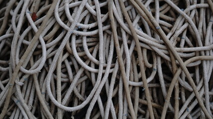 ropes stacked with clutter background