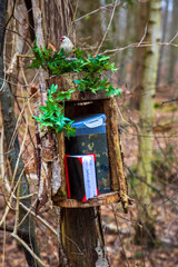 Geochaching, kreativer Geochace im Wald