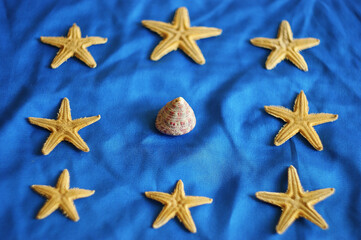 Fototapeta na wymiar beautiful shell is prominent and is surrounded by starfish. Leadership, uniqueness, think different, teamwork business success. different concept.