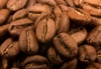 roasted coffee beans close-up macro