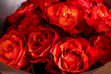 bouquet of red roses, red roses background, bunch of roses