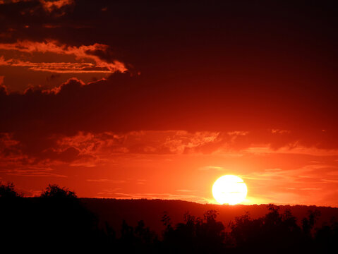 Red sun at sunset over the forest. Part of the image is blurred.