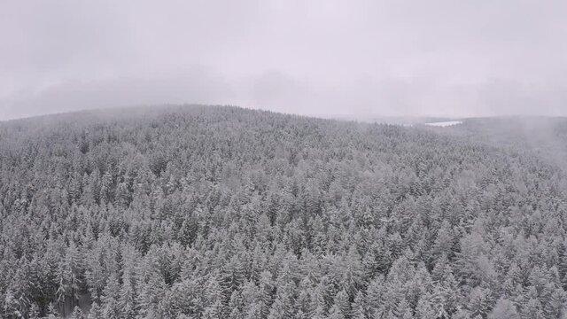 snow covered forest in winter from aerial perspective