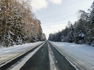 Fototapeta premium road in winter