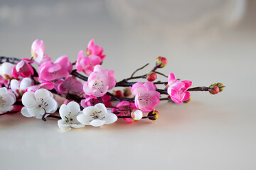 Branches of blossoming sakura on a light background.