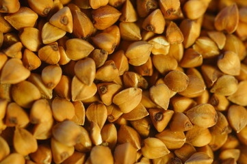 Natural food - buckwheat groats. Portion of groats before cooking. Preparation of the meal. A meal for vegetarians. Brown culinary background.