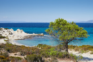 Fototapeta na wymiar Picturesqu beach with turqloise water in Sythonia on Halkidiki peninsula, Greece