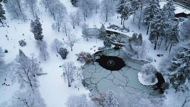People Enjoying The Snow Ride At Wright Park During Winter In Tacoma, Washington, USA - Drone Rotating Shot
