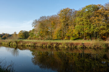 Fototapeta na wymiar Wald Fluss Kanal Herbst