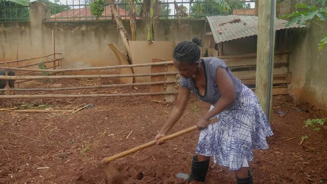 A wide shot from the side of an African woman digging in a rural farm using a hoe to turn up the soil.