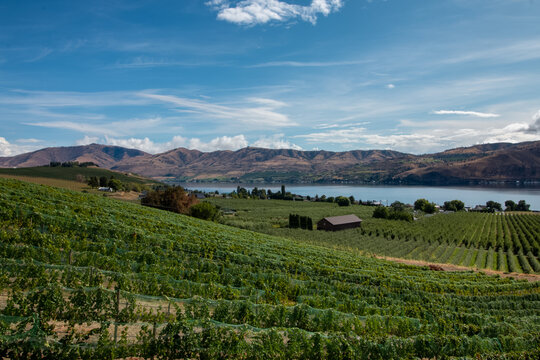 Rolling vineyard hills, Lake Chelan and the foothills of the Cascade mountains in Eastern Washington.