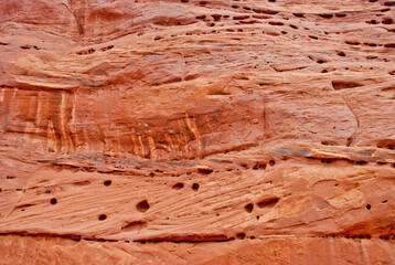 canyon wall in the desert